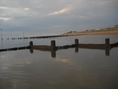 View Outside the House